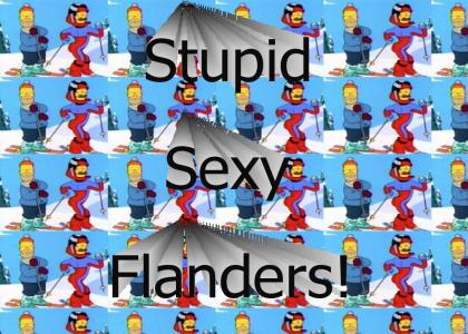 Stupid Sexy Flanders!
