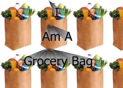 Grocery Bag