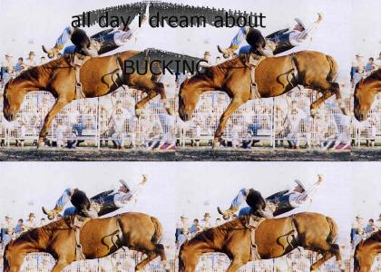 All Day I Dream About Bucking.