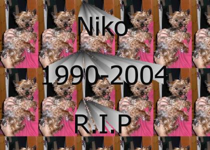 A Tribute to Niko