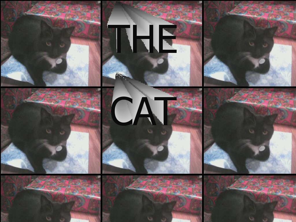 thethecat