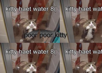 kitty haet water