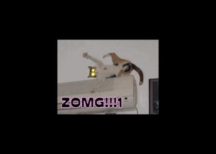 ZOMFG CAT!!! (UPDATED)