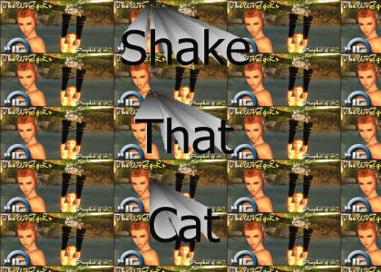 Shake that cat baby!