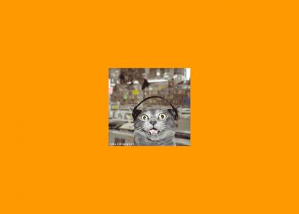 (YTMNC) Cat Fad 6 of 7