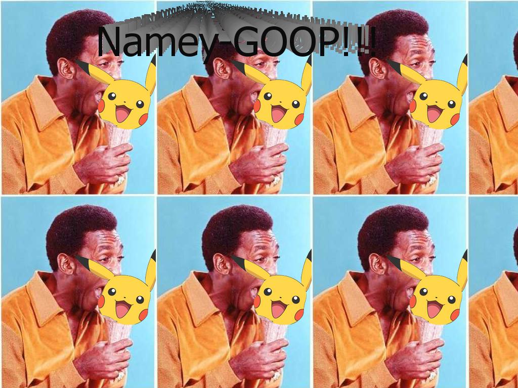 nameygoop