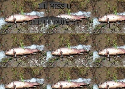 Doogies fish goes bye-bye