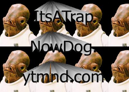 ItsATrapNowDog