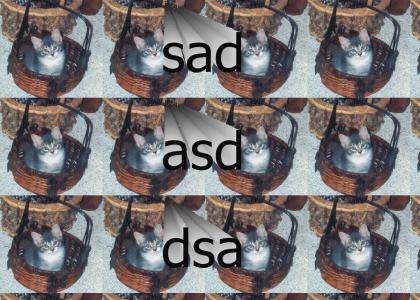 asd
