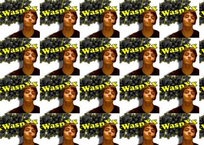 waspsan