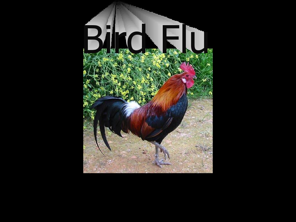 birdfludisease