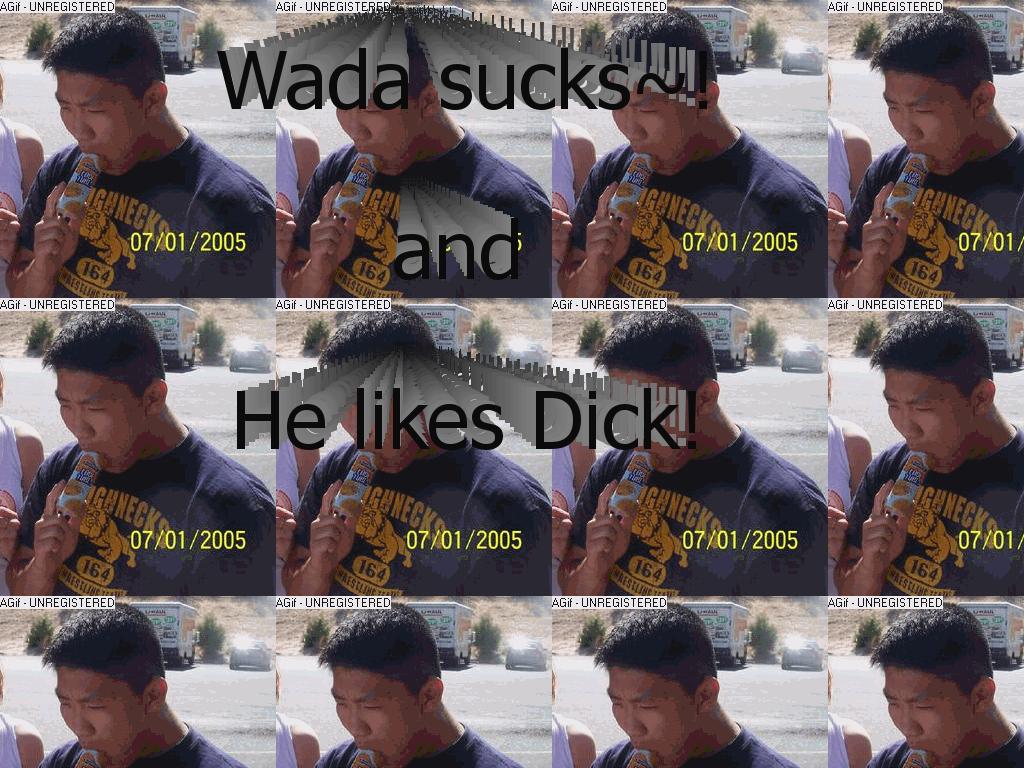 wadasucks