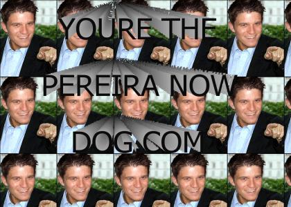 You're the Pereira now, dog!