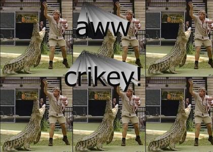 crikey!