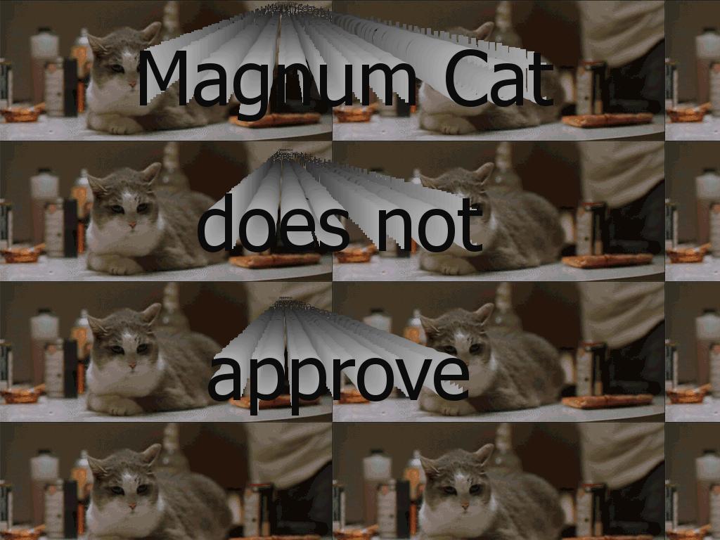 magnumcat