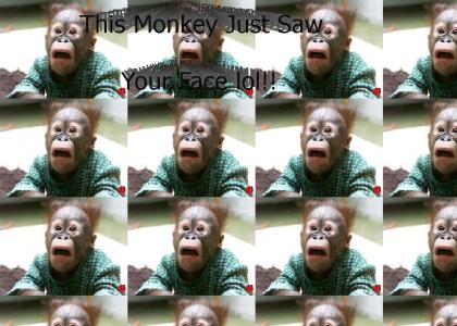 Scared Monkey lol