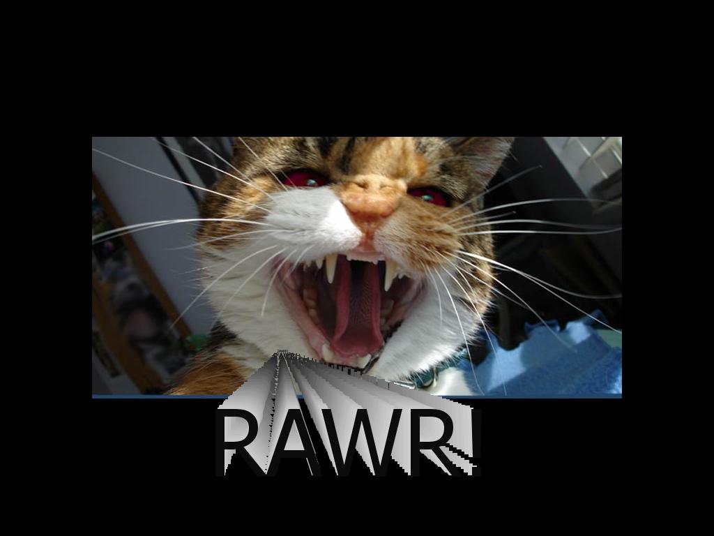angrycatwilleatyoursoul