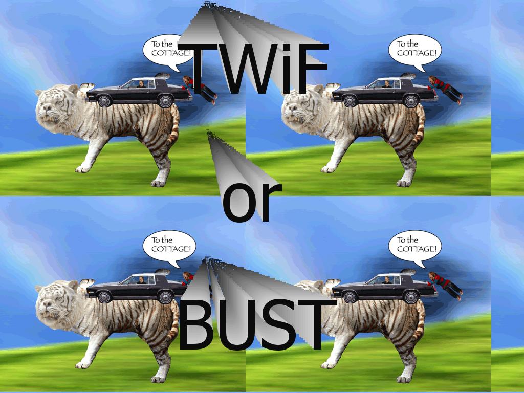 twiforbust