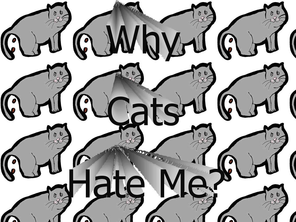 whycatshateme