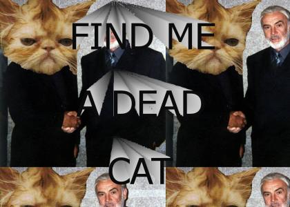 sean connery > cats