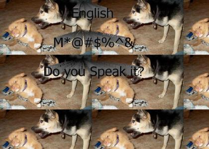 English Pup, Do you Speak it?