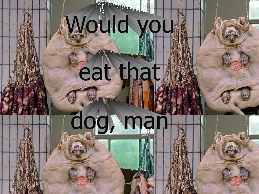 dogispeoplefood