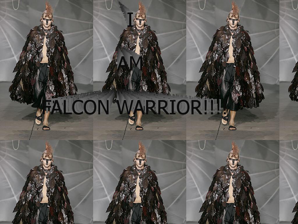 falconwarrior