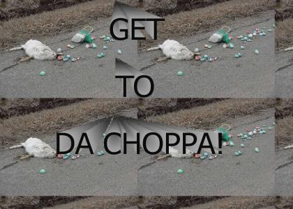 Bunny Phails Gettin To Da Choppa :(