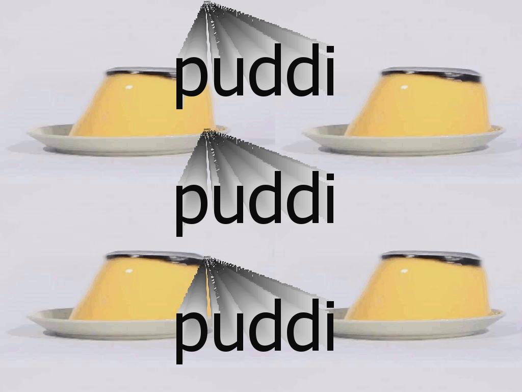 puddipuddipuddi