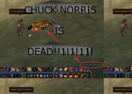 CHUCK NORRIS IS DEAD! (Not CNN)