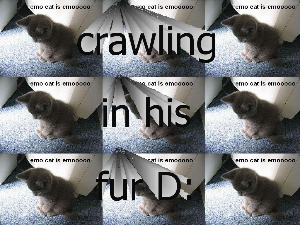 crawlingcat