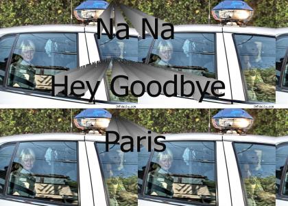 Na Na Hey Goodbye Paris