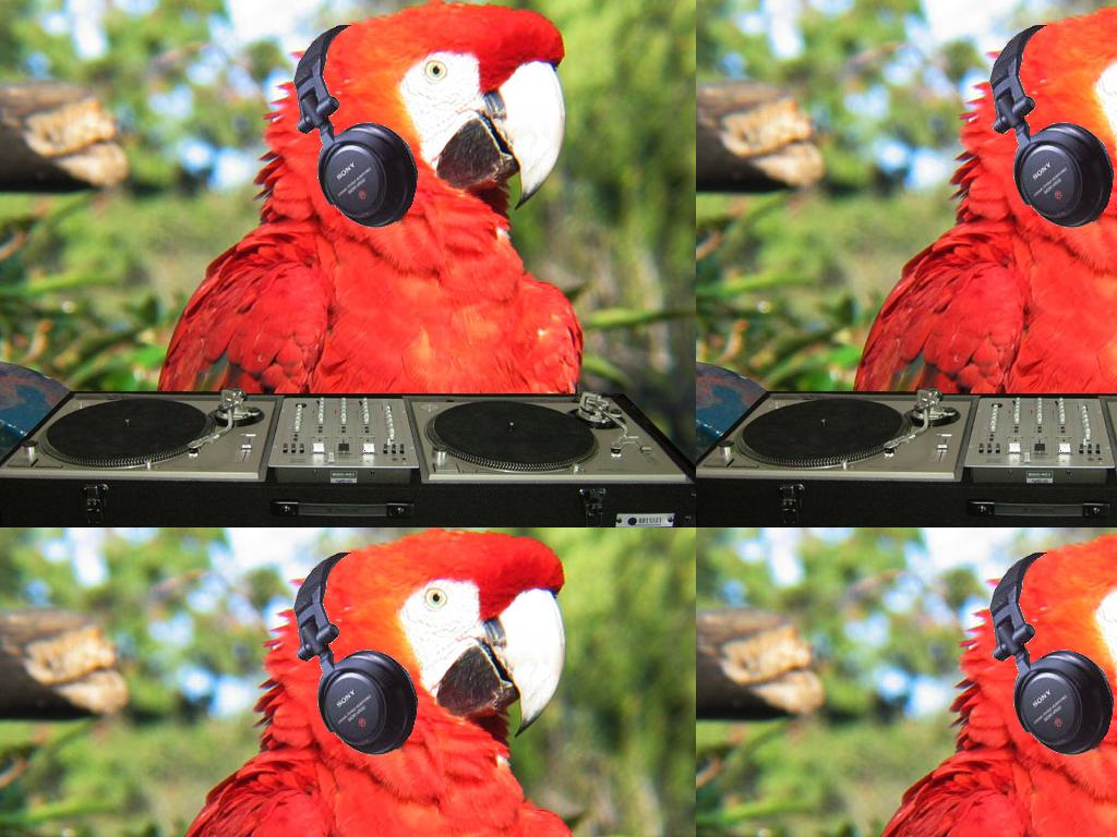 djparrot