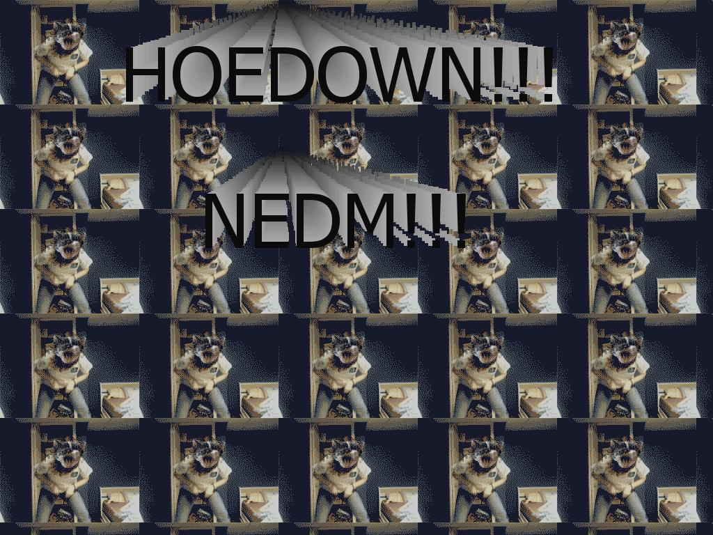 nedmhoedown