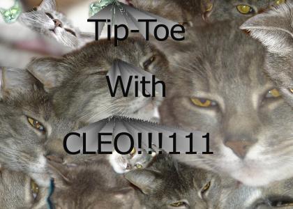 Tip-Toe With Cleo