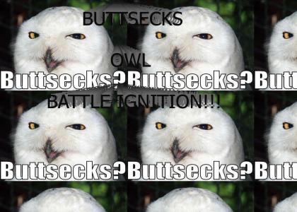 Buttsecks Owl YEA!