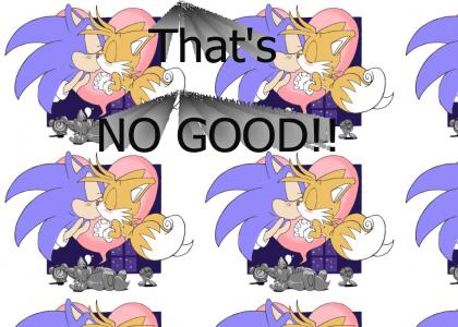 Sonic warns you about gays