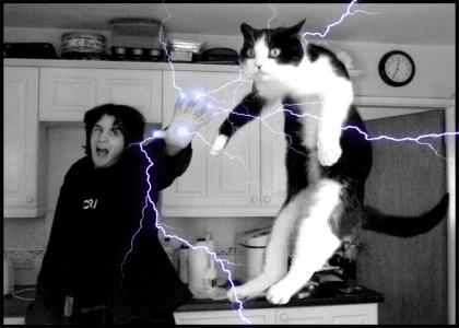 Force Lightning Cats!