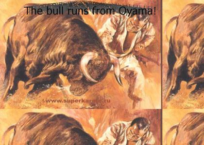Typical Oyama bull run