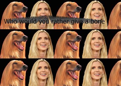 Afghan Hound or Ann Coulter?