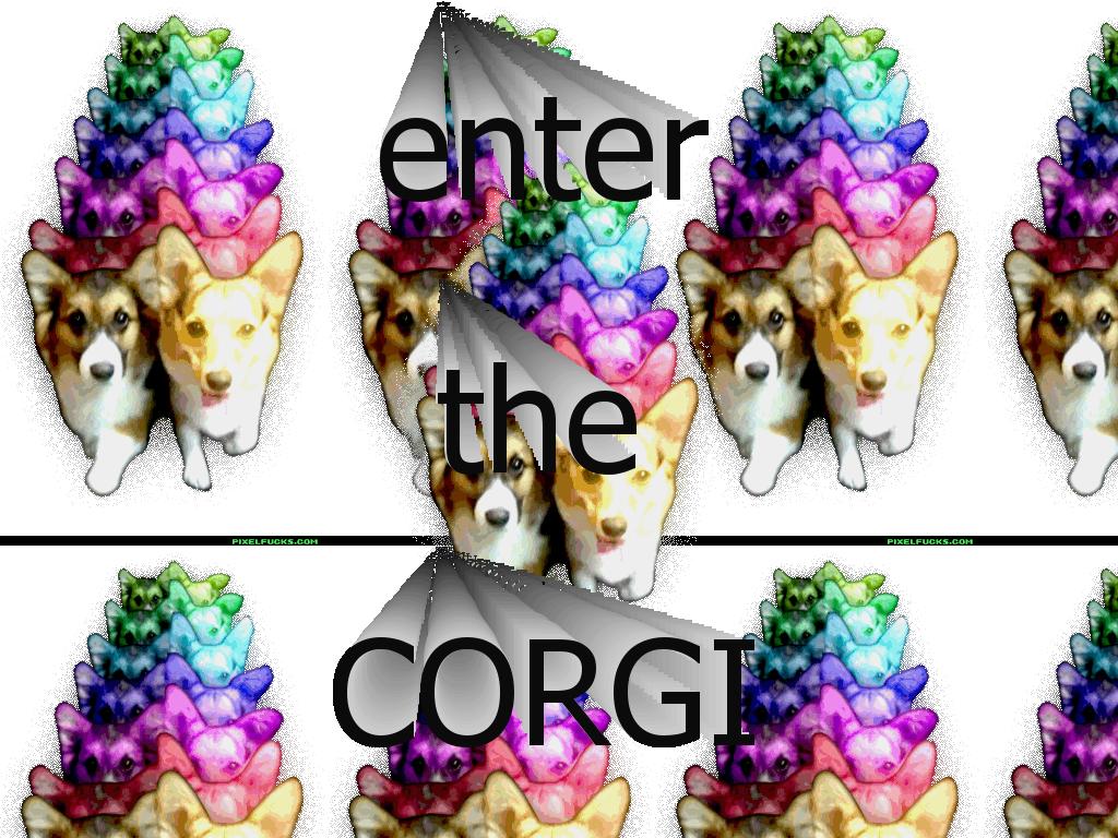 ENTERTHECORGI