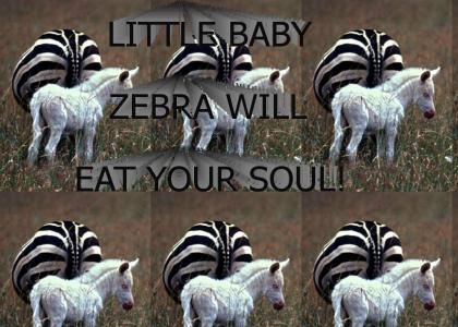Evil Zebra