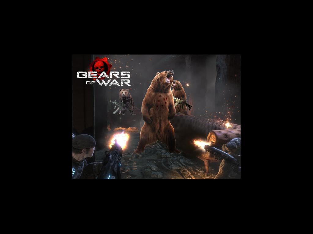 bearsofwar