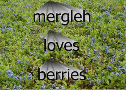 mergleh loves berries