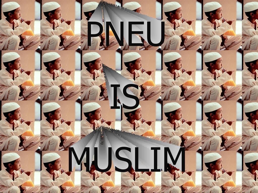 pneu