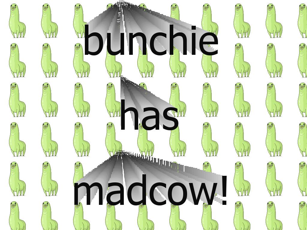 bunchie