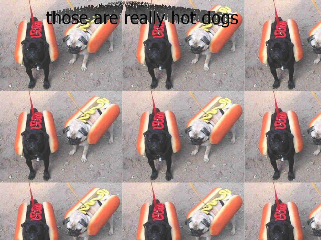 hotdogsytmndcom
