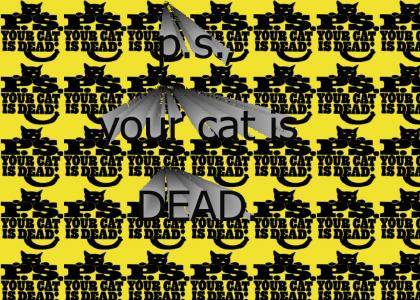 P.S.  Your cat is DEAD.