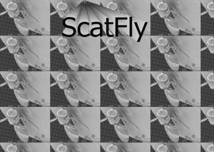 ScatFly