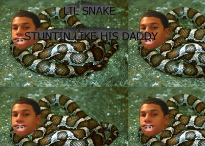 snakey